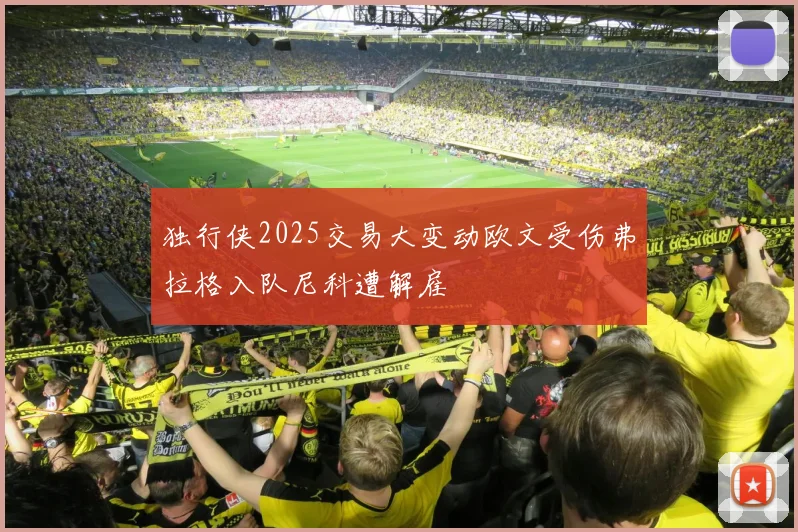 独行侠2025交易大变动欧文受伤弗拉格入队尼科遭解雇