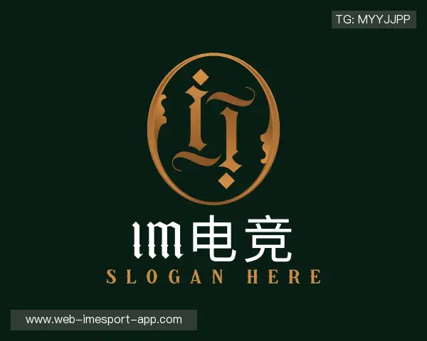 关于IM电竞官网